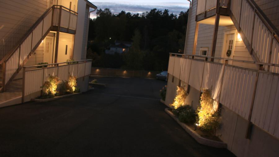 Fin belysning på hus och växter